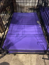 Brandice B. review photo