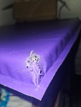Kenosceebar review photo