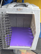 Dawn C. review photo