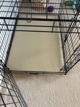 Lynn S. review photo