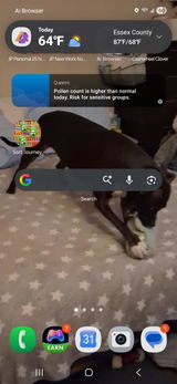 Eileen & Teresa 🐕 review photo