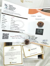 rudresh h review photo