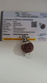 Naitik aggarwal review photo