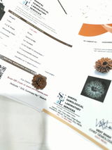 Kishor BV review photo