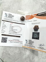 Arun Rachaputi review photo