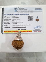 Pradeep Rajput review photo