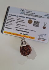 raaa mooo review photo