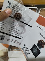 Murali krishna review photo