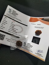 Sri Lakshmi review photo