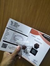 Rahul Ippar review photo