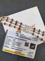 Bhavani Veena review photo