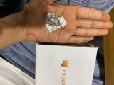 Prerna LalwNi review photo