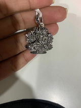 Mayankswami review photo