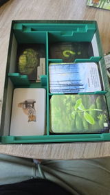 Etsy c. review photo