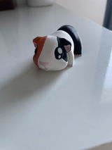 Anonyme review photo
