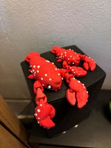 Véro review photo