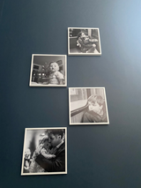 Daniele T. review photo