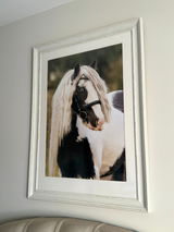 Aalia T. review photo