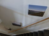 Ian S. review photo