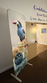 Flyway Birding Tours review photo