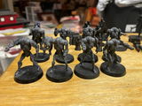 Carter P review photo