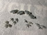 Karlus N review photo