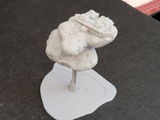Andy M review photo