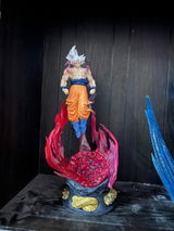 Bikramjeet Singh review photo
