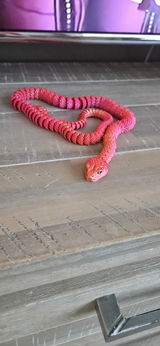 Jessica Wulffraat review photo
