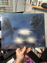 Customer review photo