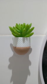 Patricia Saade Rocco review photo
