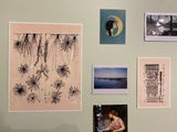 Alta review photo