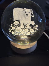 Anonymous review photo