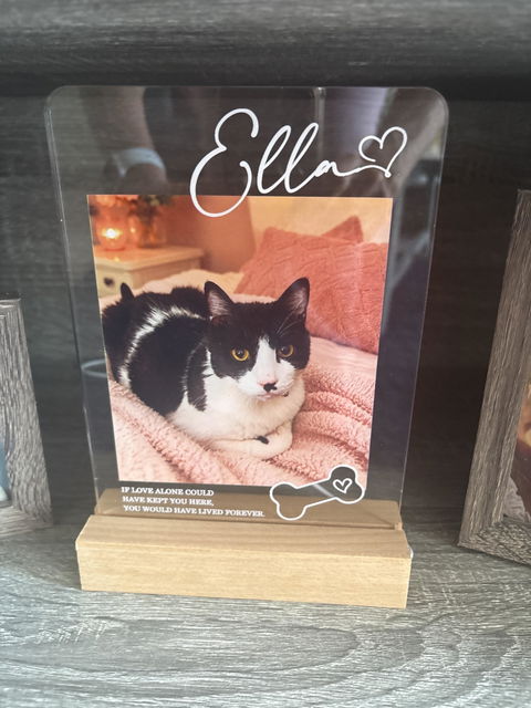 If Love Alone Could Have Kept You Here - Personalized Pet Loss Memorial Acrylic Block LED Night Light