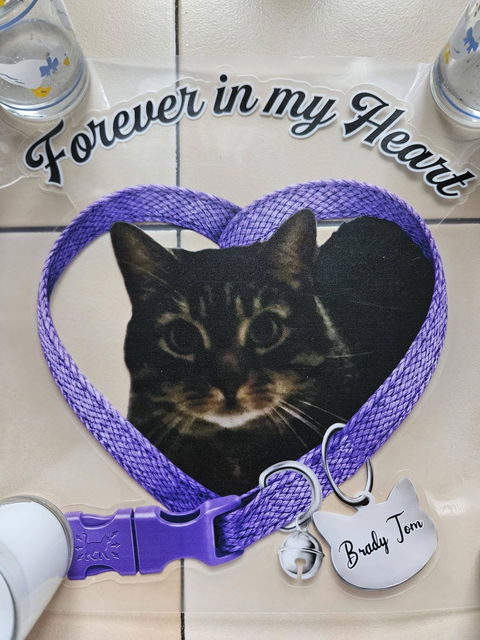 Forever In My Heart - Custom Cat Photo Memorial Car Window Sticker