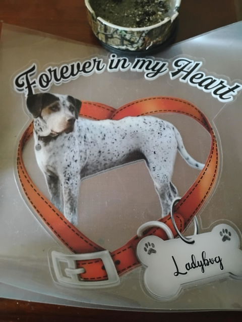Forever In My Heart - Custom Photo Memorial Car Window Sticker