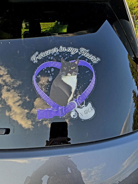 Forever In My Heart - Custom Cat Photo Memorial Car Window Sticker