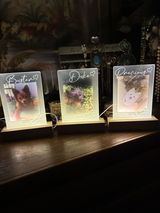 Review by Barbara Pierorazio