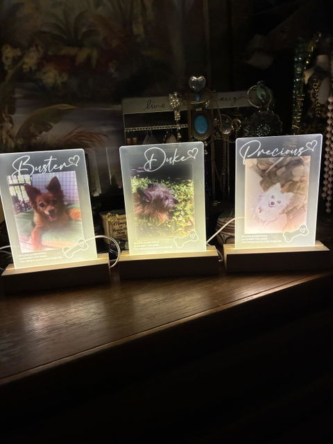 If Love Alone Could Have Kept You Here - Personalized Pet Loss Memorial Acrylic Block LED Night Light