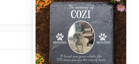 Personalized Pet Memorial Stone - Custom Photo Gift for Dog & Cat Loss