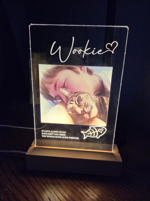 If Love Alone Could Have Kept You Here - Personalized Pet Loss Memorial Acrylic Block LED Night Light