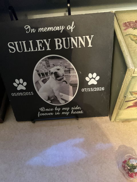 Personalized Pet Memorial Stone - Custom Photo Gift for Dog & Cat Loss