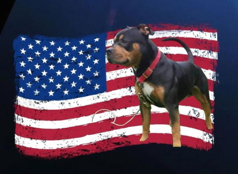 Personalized American Dog Flag Decal - Custom Gift for Dog Lovers