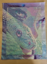 Blondi review photo
