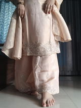 Priyanshee review photo