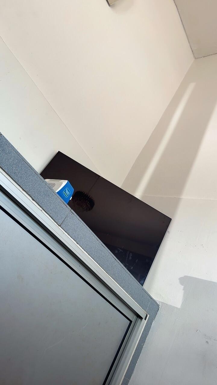 qymfn review photo