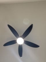 L review photo