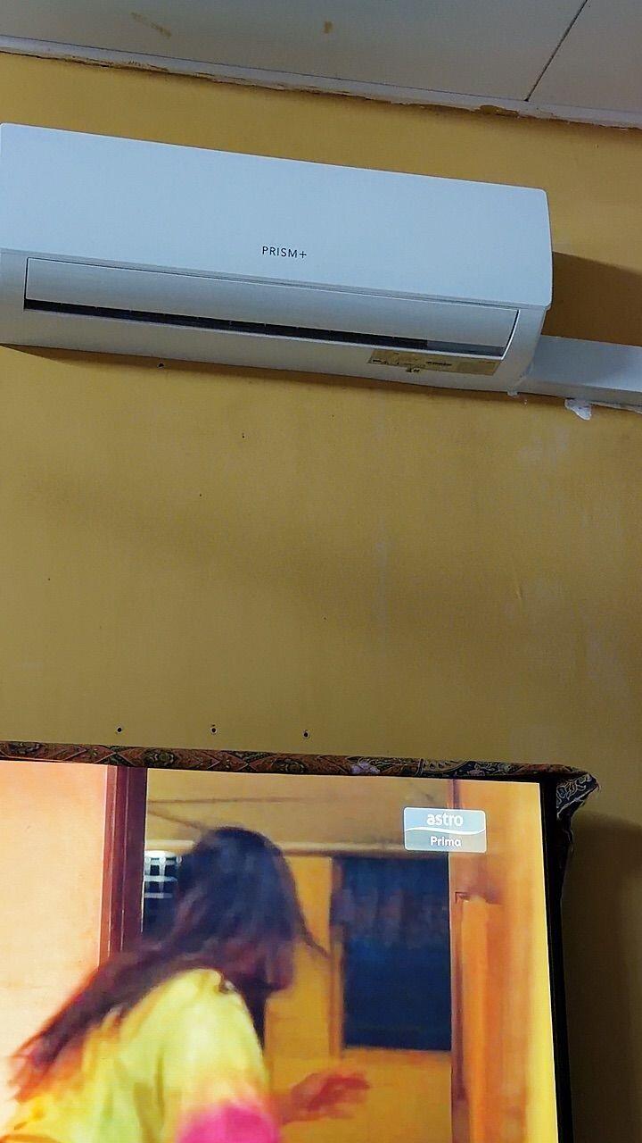 shalan140617 review photo