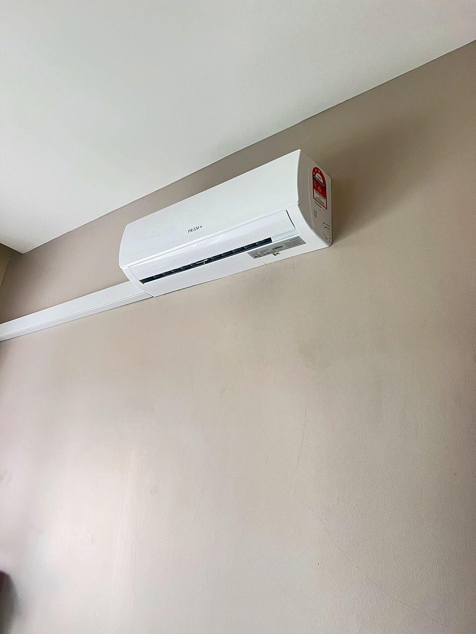 purplepopi review photo