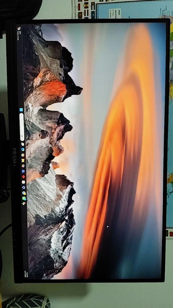 alfredling95 review photo